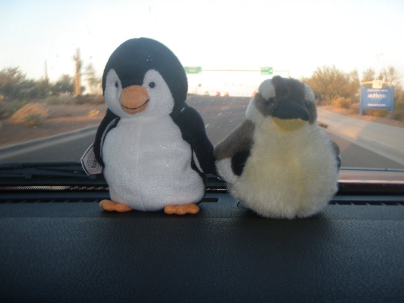 Kooka & Pengi  on a road trip