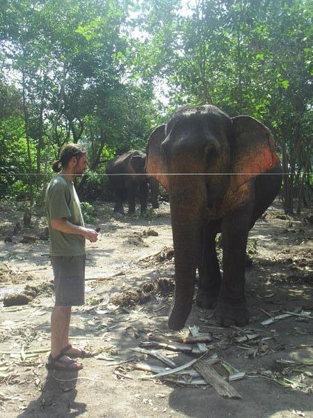 Kris meets an elephant