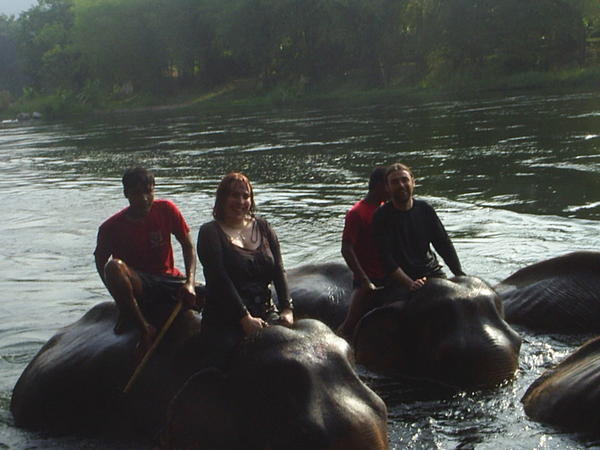 Bathing our elephants in the river