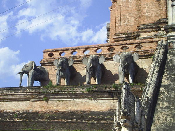 White elephants at Wat Chedi Luang