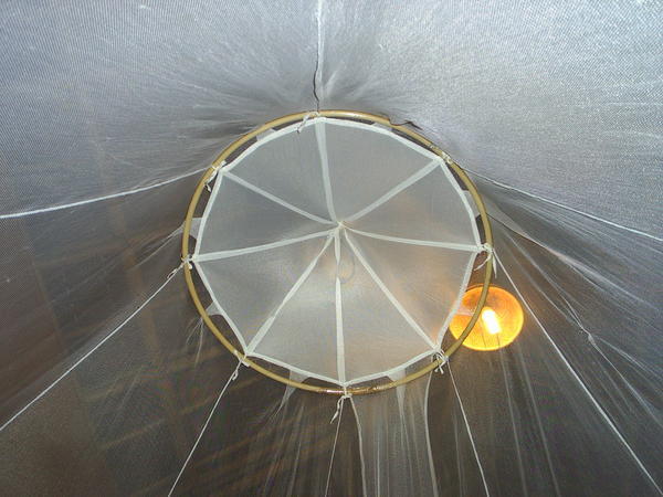The view from inside the mozzie net..