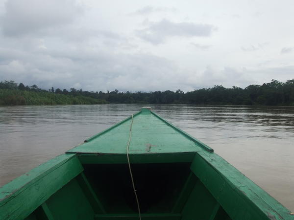 Our first boatrip down the Kinabatangan