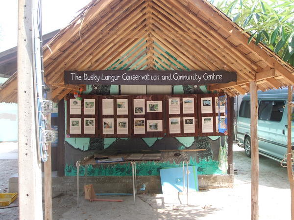 The dusky langur conservation community centre