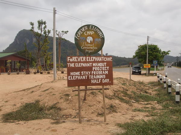 New Forever Elephant camp sign 