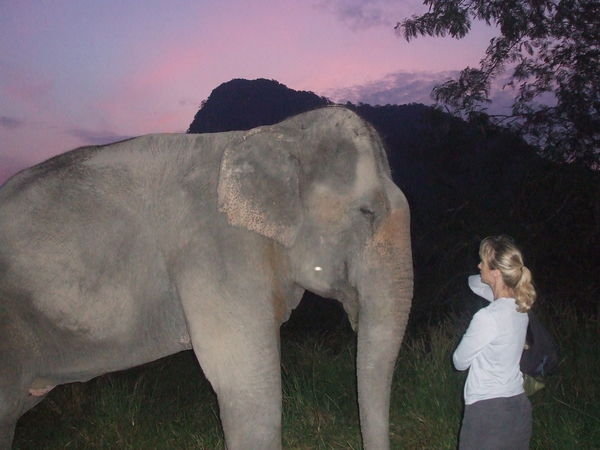 Dia greeting her elephant Sam-Rui at dawn