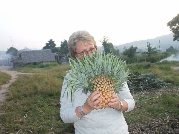 Christine and a deformed pineapple