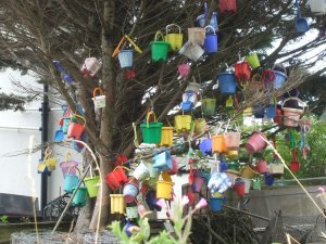 bucket tree in Lulworth village