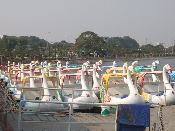 swan boat army