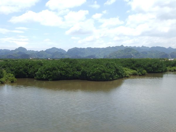 Scenery along the bus journey to Cat Ba