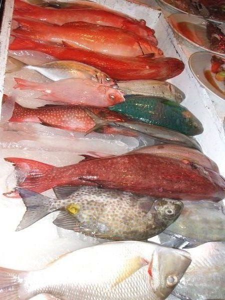 Which fish do you want for your dinner?