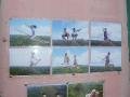 Examples of the 'riding on a broom in front of a photo of the Chocolate Hills' photos that you could have taken