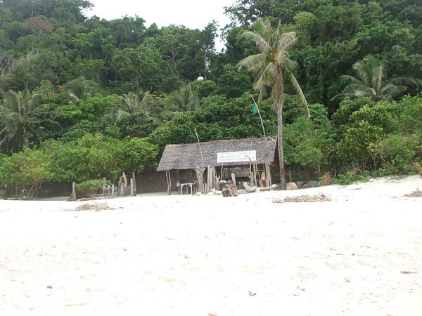 Jungle surrounding the "deserted beach"