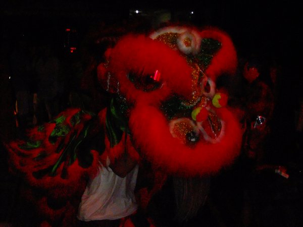 Lion dancers for Lunar New Year