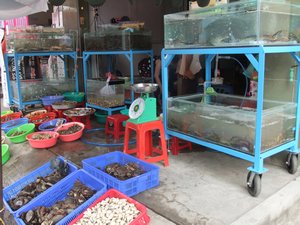Shellfish shop