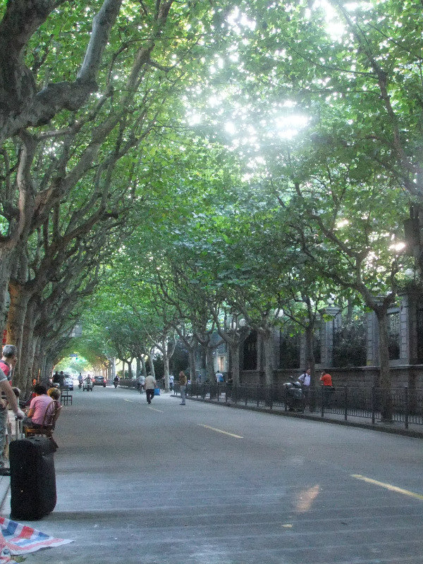 Leafy French Concession streets