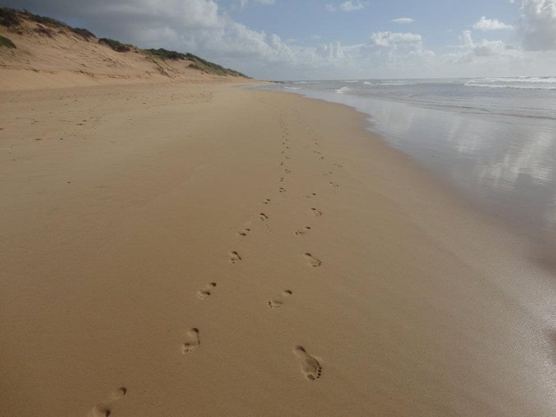 moz 12 footprints