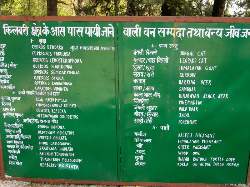 List of the Himalayan flora and fauna