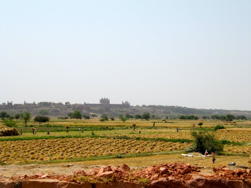 View over Fatehpur sikri