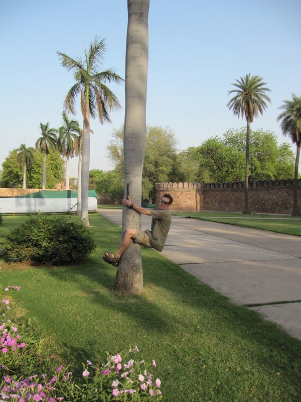 Chris trying to climb a palm tree