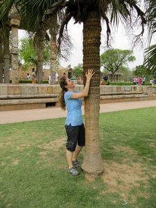 Trying to climb a palm tree in Qutb Minar