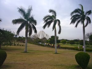 Palm trees in the gardens of the Lotus Temple