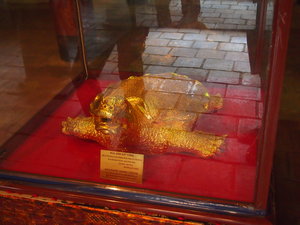 Embalmed gold plated tortoise