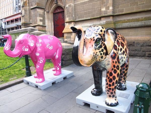 Two of the elephants