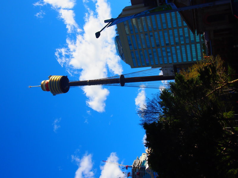 More of Sydney Tower