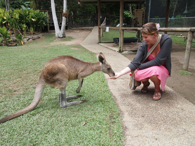 Lauren feeding Skippy the Kangaroo!