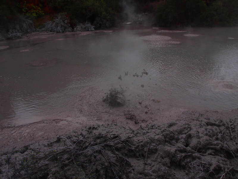 Bubbling mud pools
