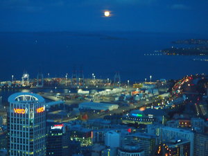 Auckland view at 220metres