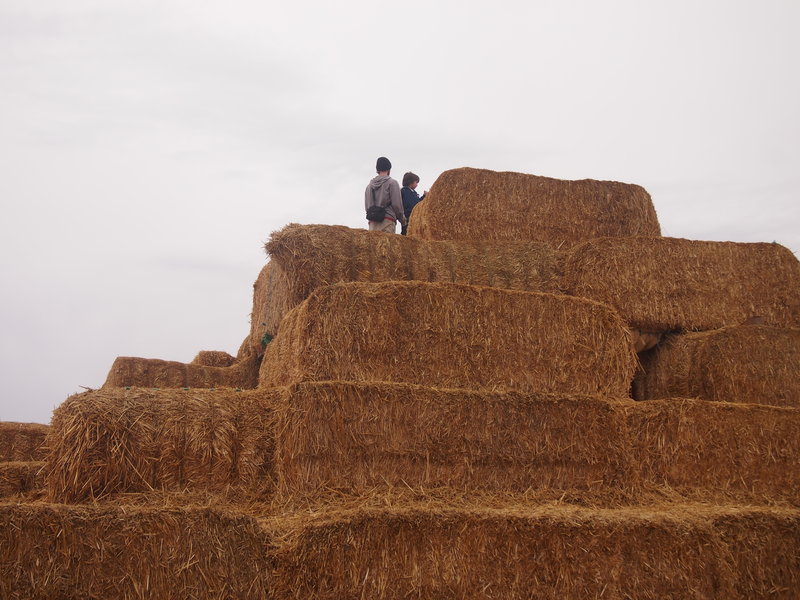 Ben & Preston on hay stacks