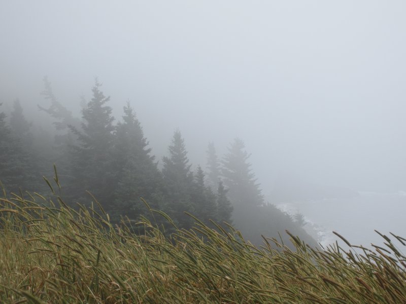 Cape Split in the mist