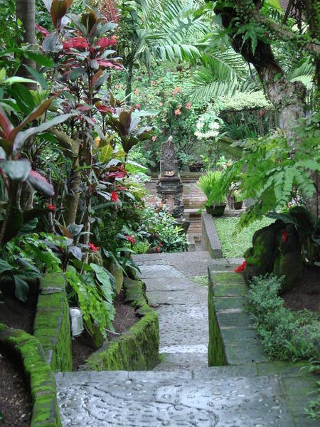 Stone steps leading down to our guesthouse in Ubud