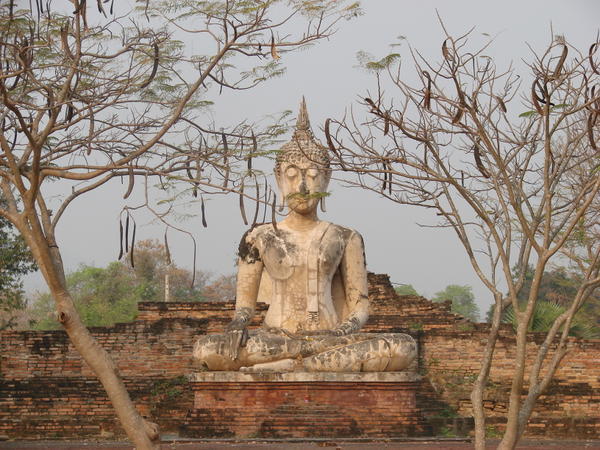 An elegant Buddha structure