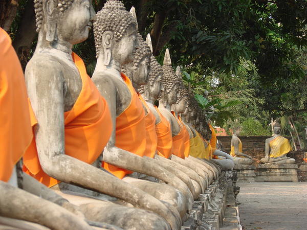 Dozens of buddhas