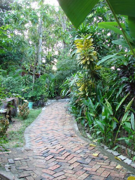 Walkway to our bungalow