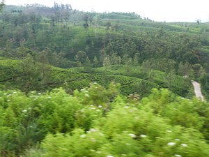 train ride to Kandy