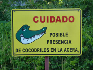 Crocodiles in the canal?