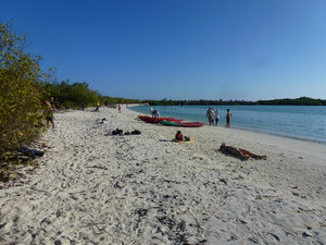 Tortuga Bay