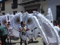 Dancers with owl butterfly costumes