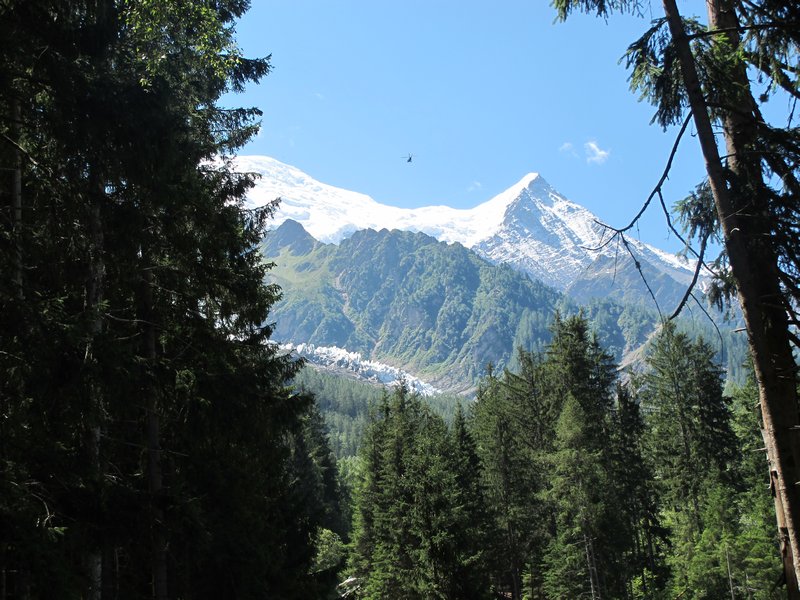 Mt Blanc through the trees