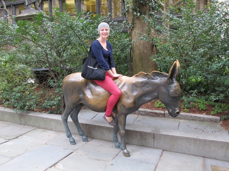Sitting on the democratic donkey - Boston