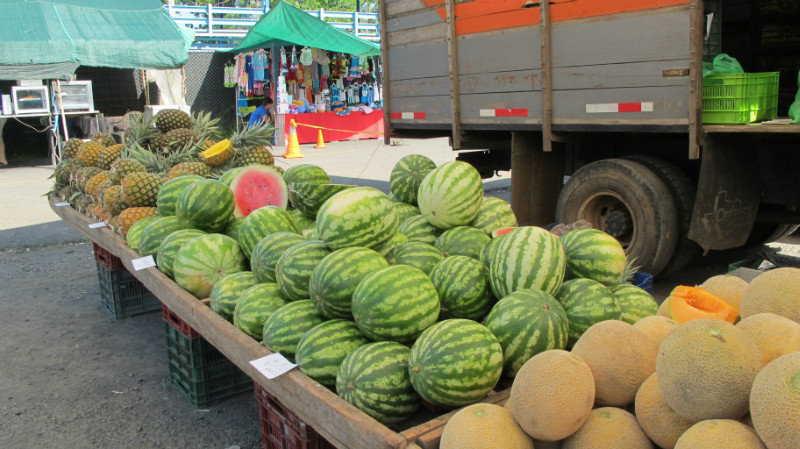 The Friday fruit market