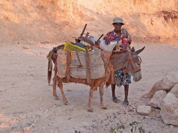 Haitian lady with donkey,