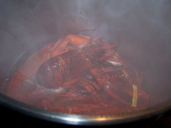 Lobster in pot