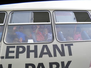 Orphans enjoying the elephant park