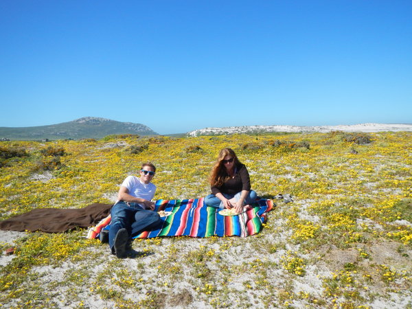 Picnic at the West Coast National Park