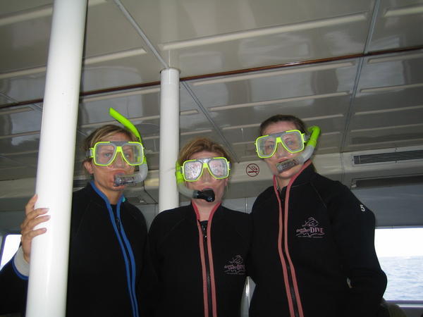 Snorkelling the reef....