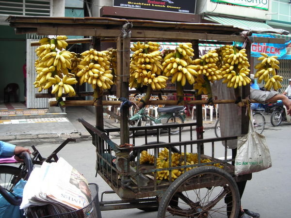 Bananas Anyone?